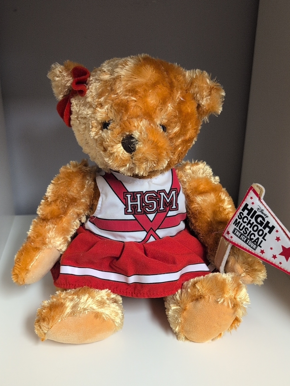 Disney High School Musical The Ice Tour Collectible Bear HSM Plush Y2k